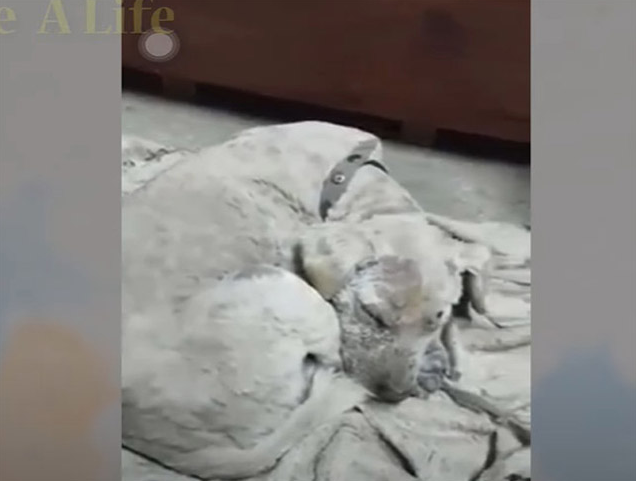 Extra image from article