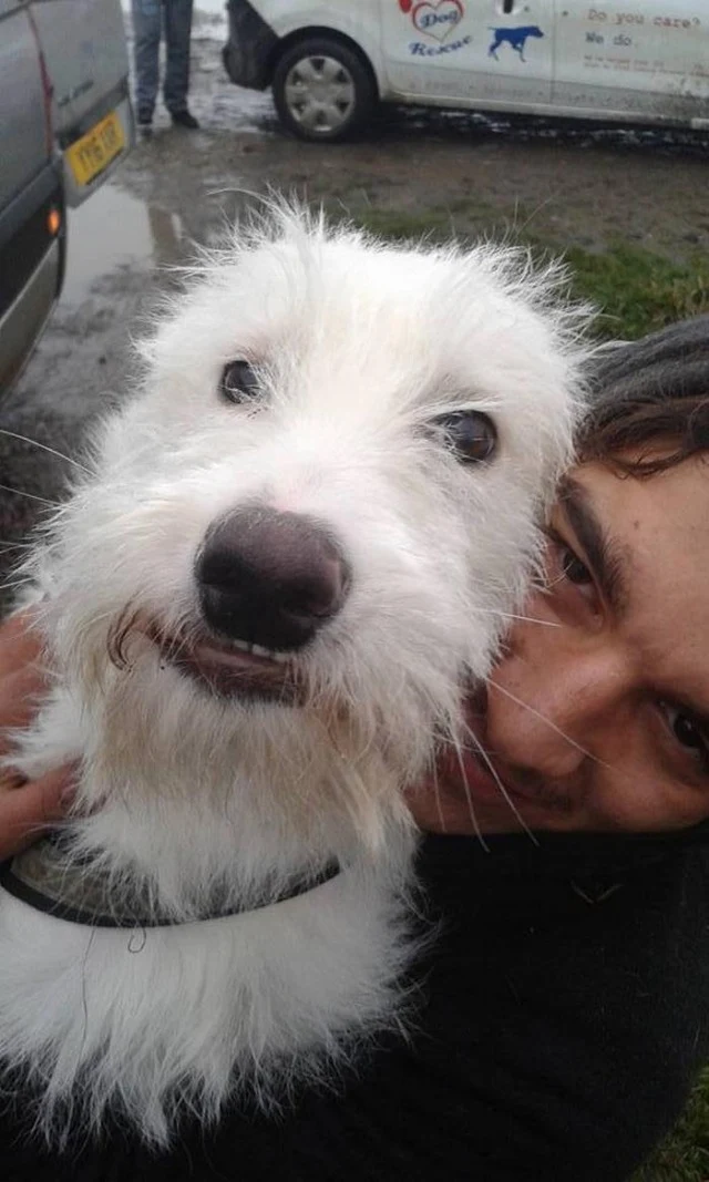 Extra image from article