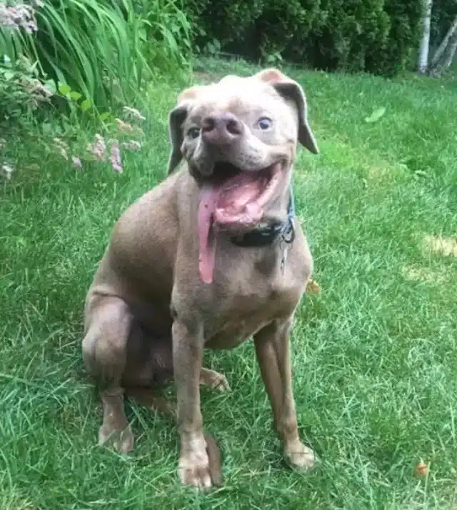 Extra image from article