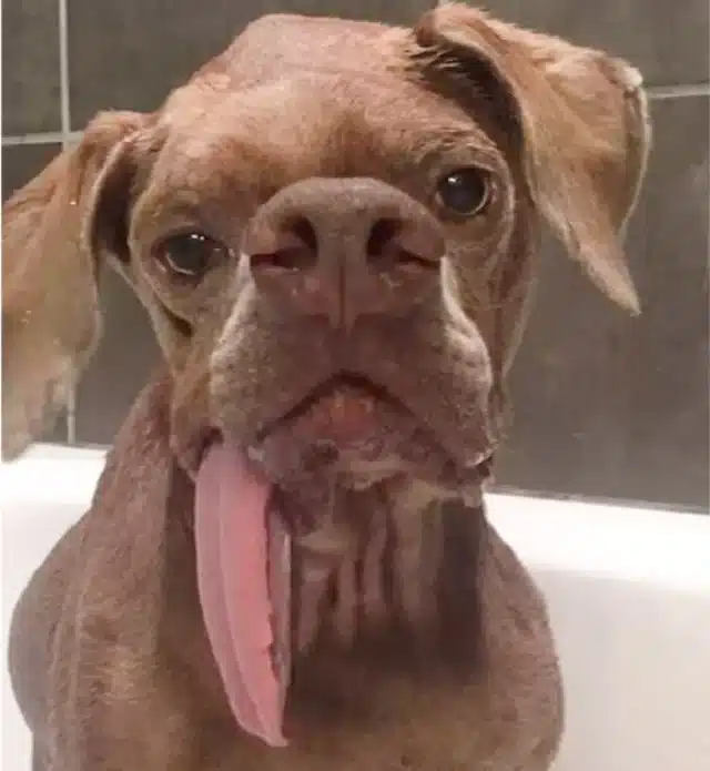 To Mackenzie Gallant and her family, thi...