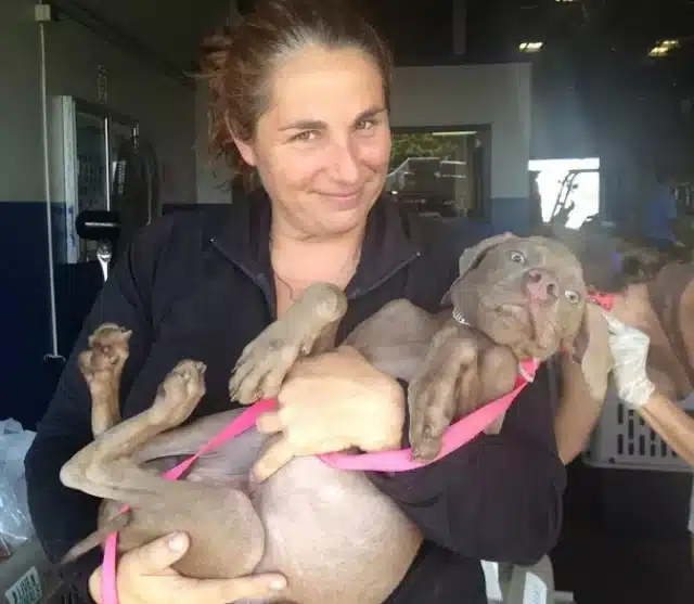 During her visits home, Gallant treasure...