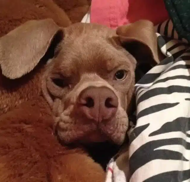 Extra image from article