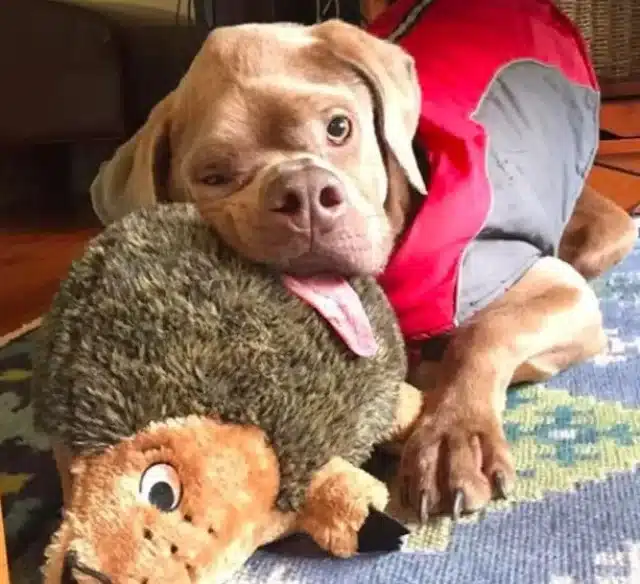 Extra image from article