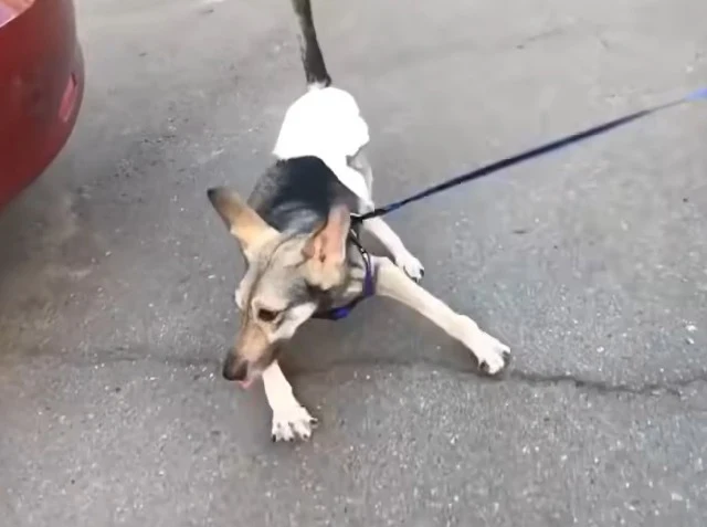 At 2:45, his caretakers made the heartbr...