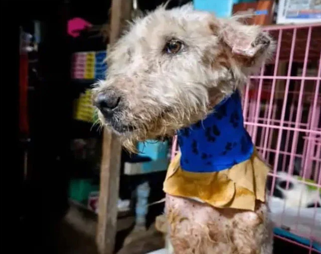 Extra image from article