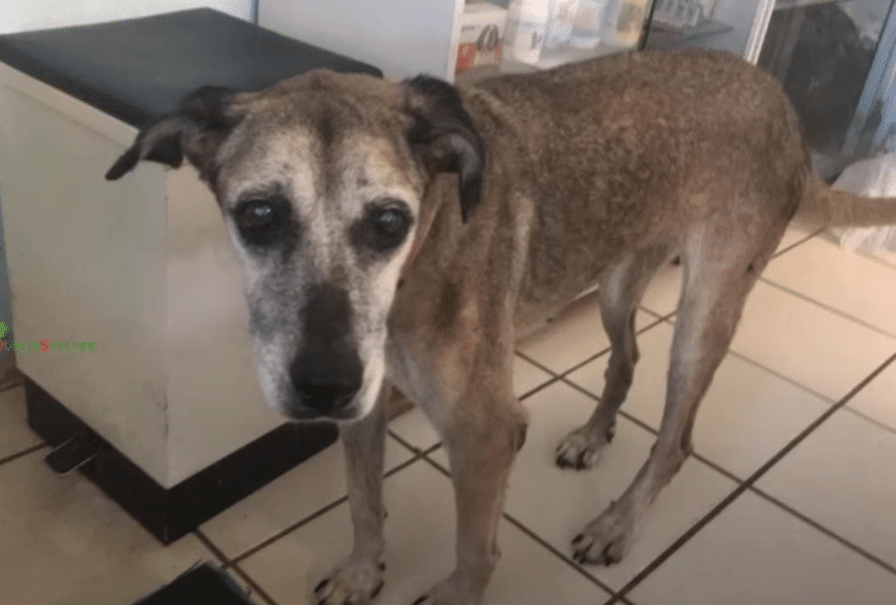 Extra image from article