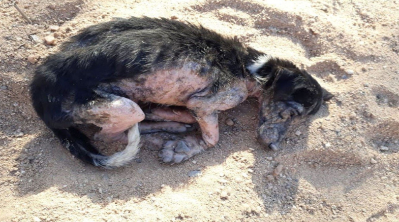 I found myself awake during the night, c...