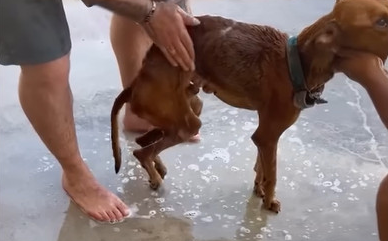 To everyone who played a part in Clay's ...