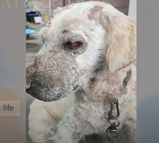 Extra image from article