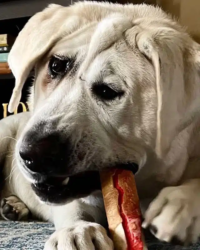 This heartwarming tale reminds us to loo...