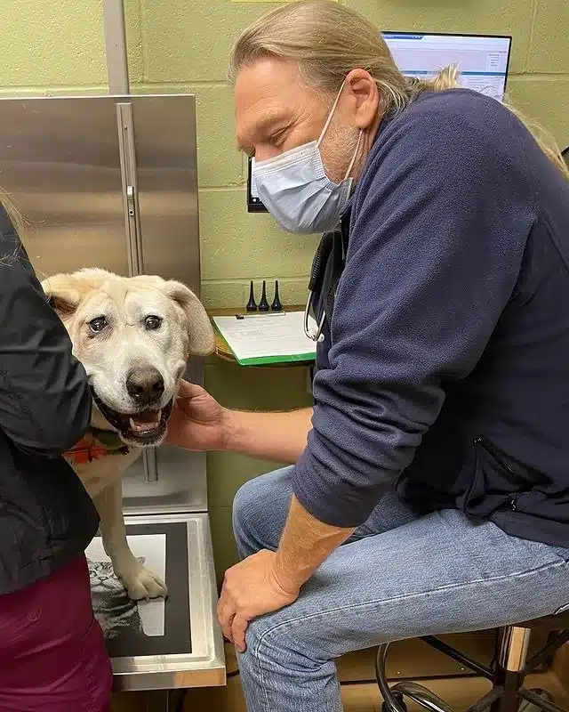 Extra image from article