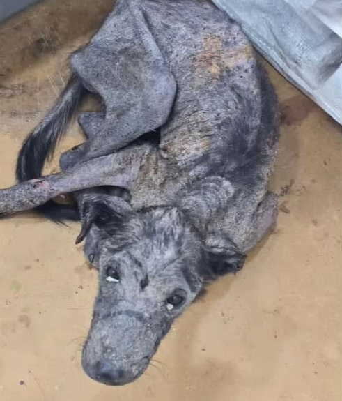 The following day posed challenges. Kenz...