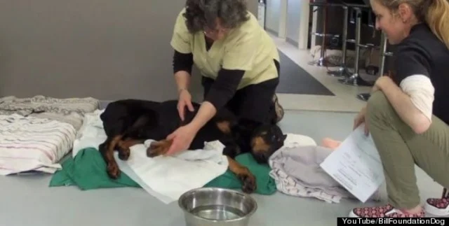 Helping Kenny move his tightly seized le...