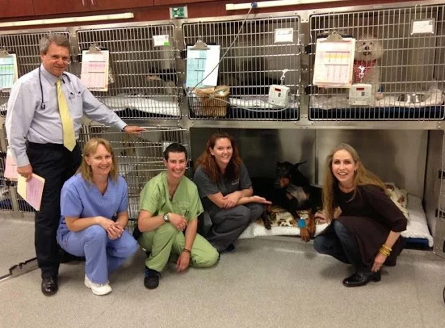 Extra image from article