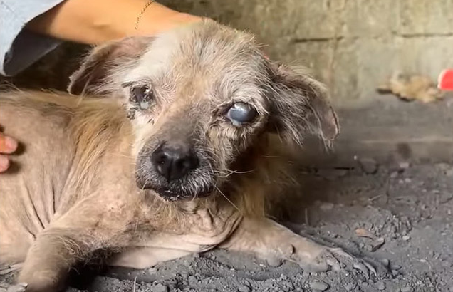 As we worked to heal his physical ailmen...