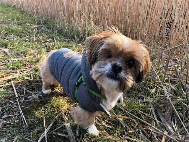 Extra image from article