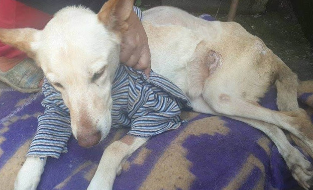 Her new life was filled with happiness—a...