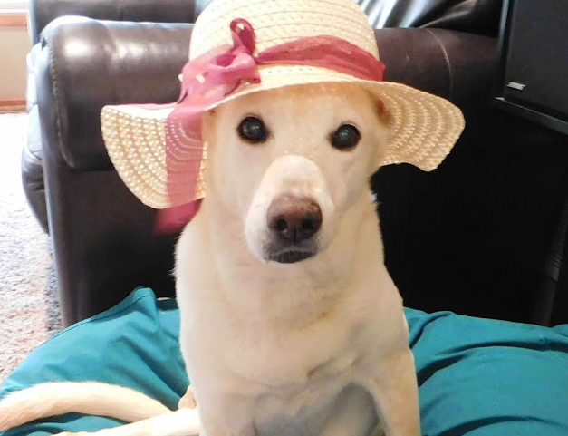 Rest in peace, dear Lunetta. If her stor...