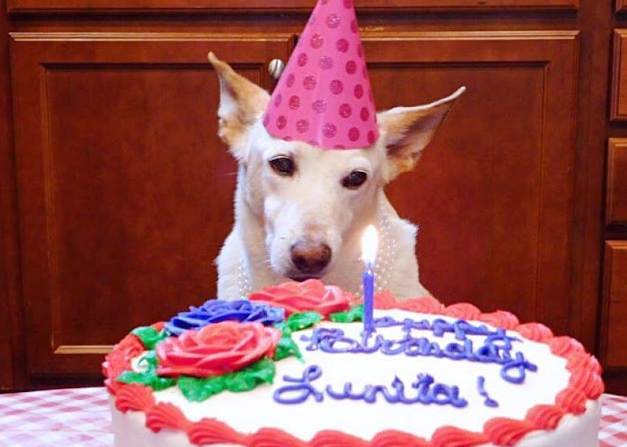 Extra image from article