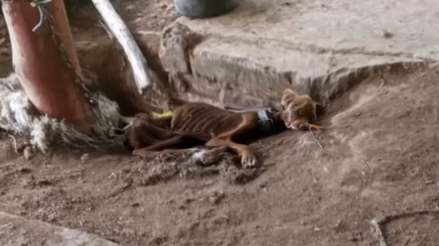 Despite the severe nature of her conditi...