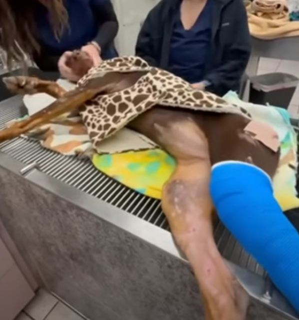 This incredible turnaround is thanks to ...