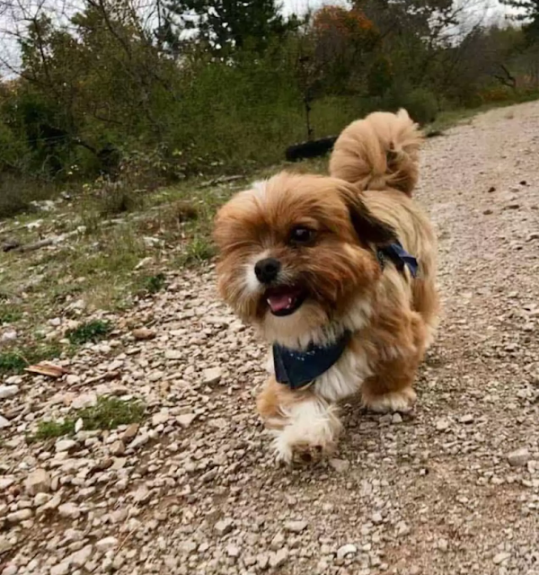 Extra image from article