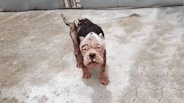 In what seemed like the darkest moment o...