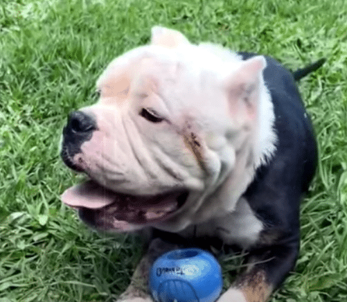 His story resonated far and wide, reachi...