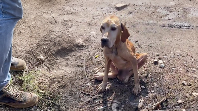 In that poignant moment, enveloped by ne...