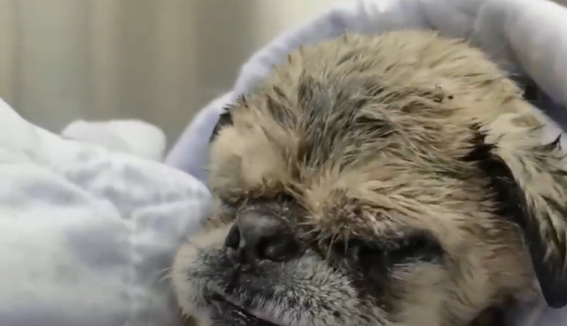 Our mission went beyond medical interven...