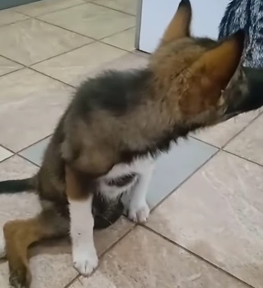 Then, a miraculous intervention occurred...