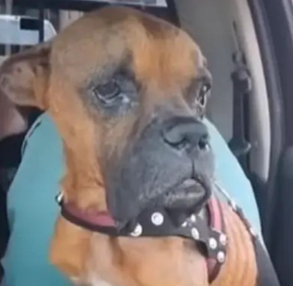 Extra image from article