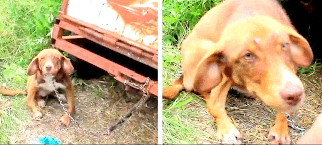 Fortunately, a compassionate woman saw t...