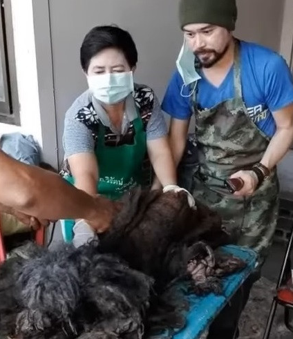 Initially, Naiden speculated that Sang S...