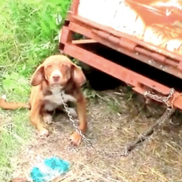 Recognizing the overcrowded conditions a...