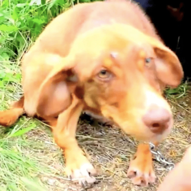 This story underscores the vital role re...