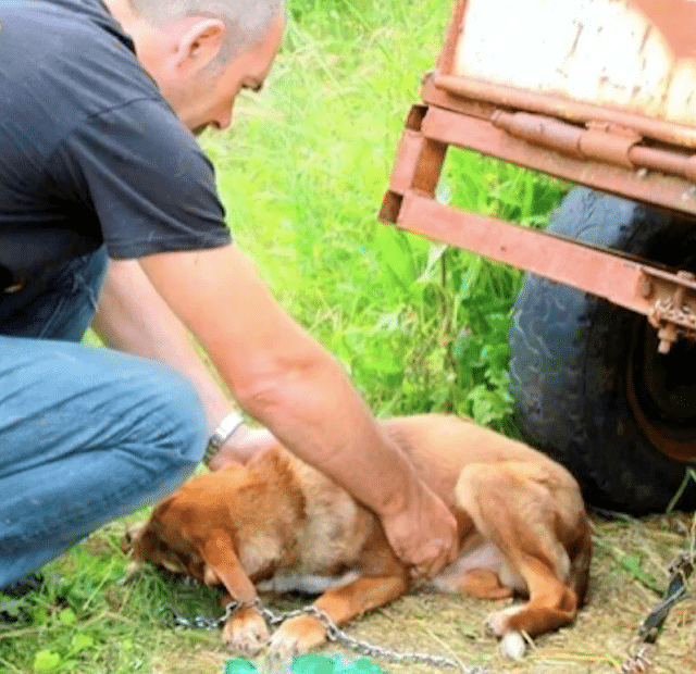 Extra image from article