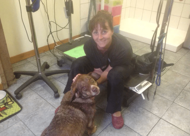 Extra image from article