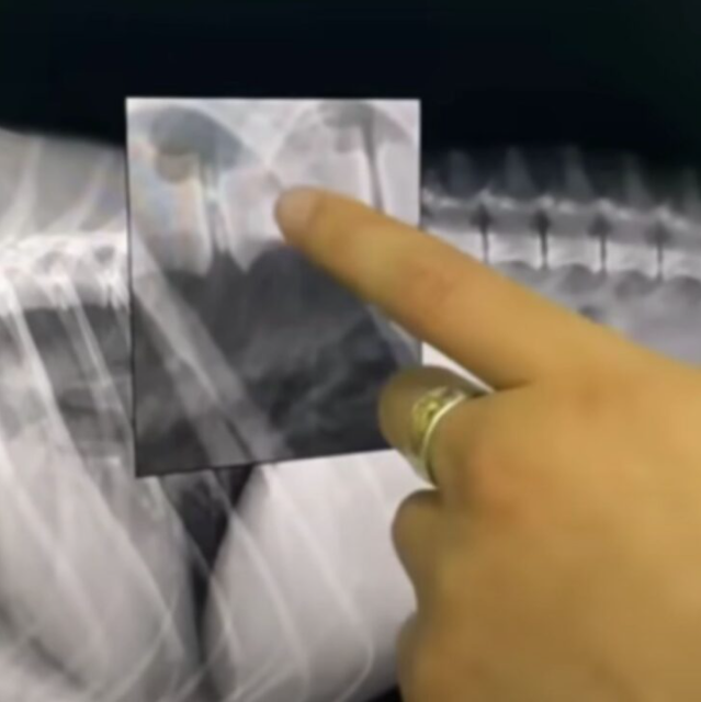 Despite the realization, the rescuers he...