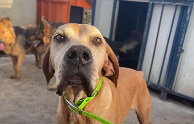 Extra image from article