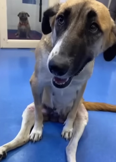 Indra experienced a profound transformat...