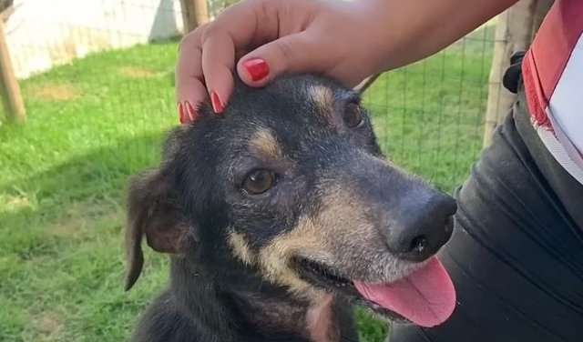 His revitalized energy and zest for life...