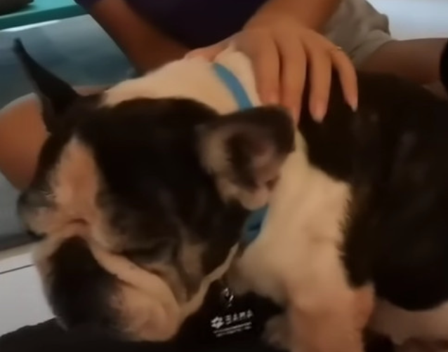 Over time, Bama's trust in those around ...