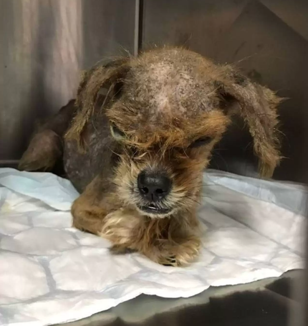 Extra image from article