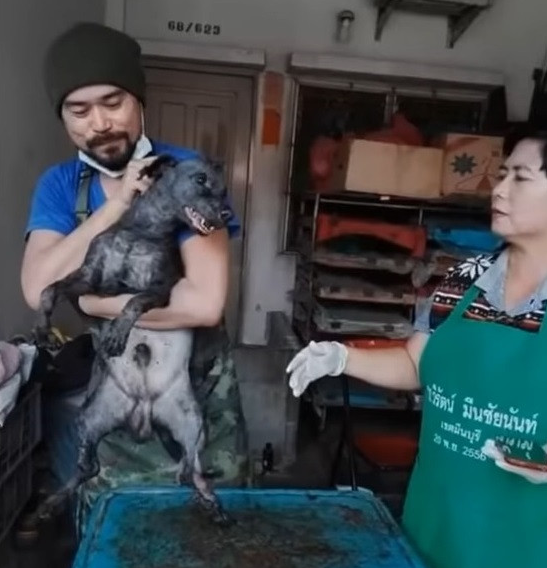 Extra image from article