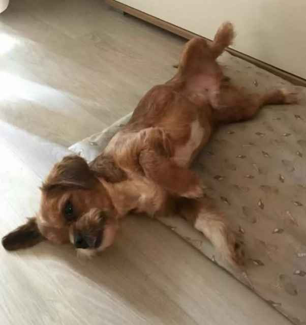 Extra image from article