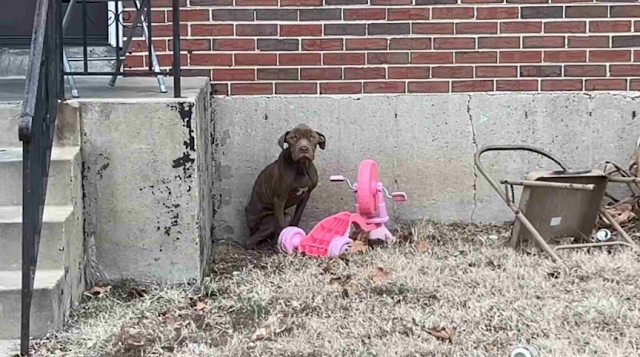 He would often sit quietly on the step o...