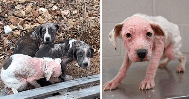 This unfortunate reality was exemplified...