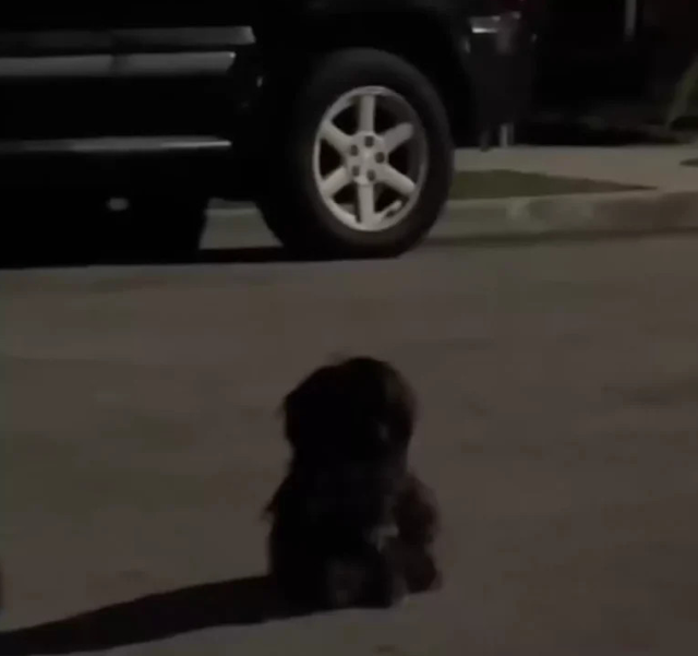 Hall realized rescuing the duo would be ...