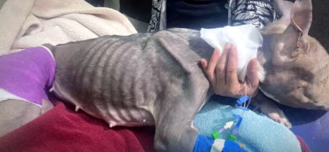 Fueled by community generosity, a reward...